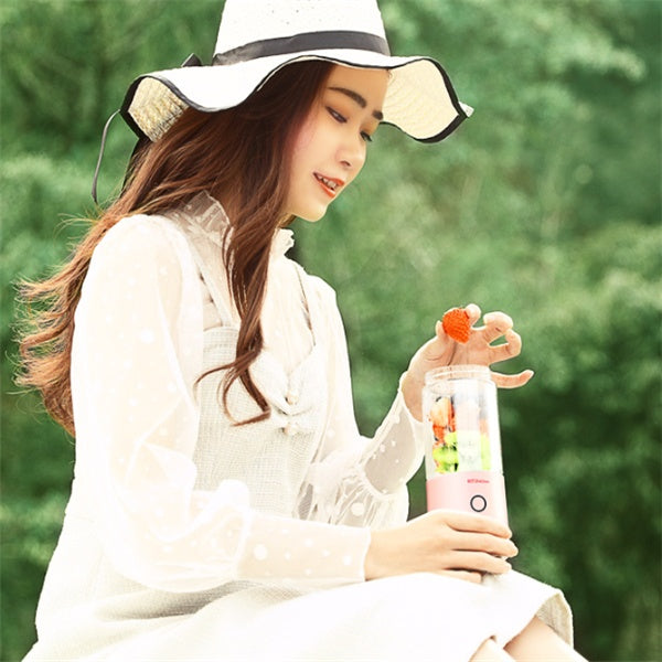 Rechargeable Juicer and  Mini Fryer