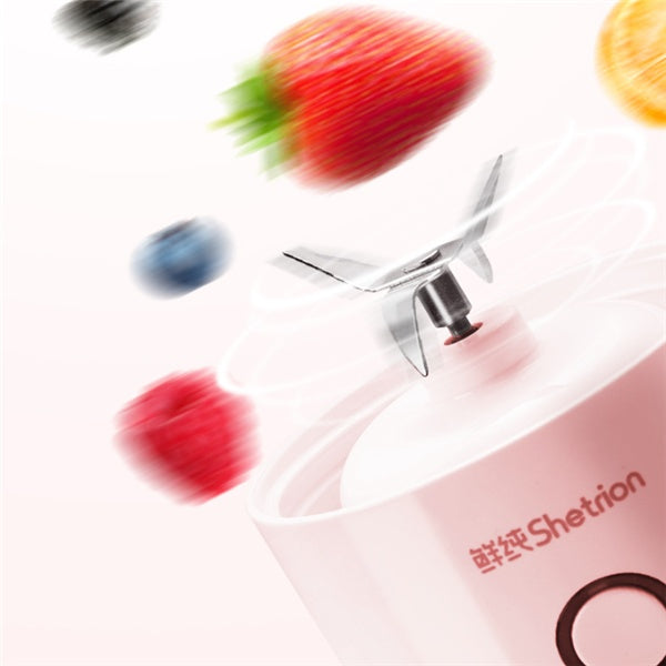 Rechargeable Juicer and  Mini Fryer