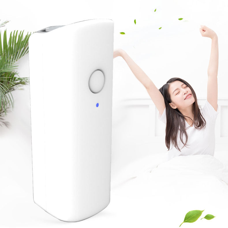 Portable air purifier
